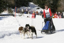 San Bernardino 2008